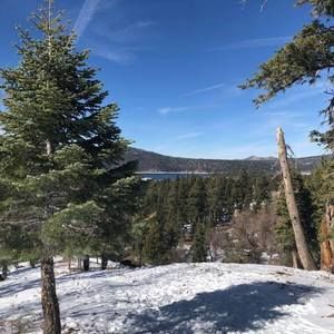 Meet your Posher, Rubi